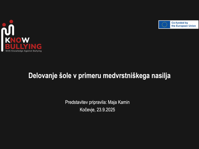 Delovanje šole v primeru medvrstniškega nasilja